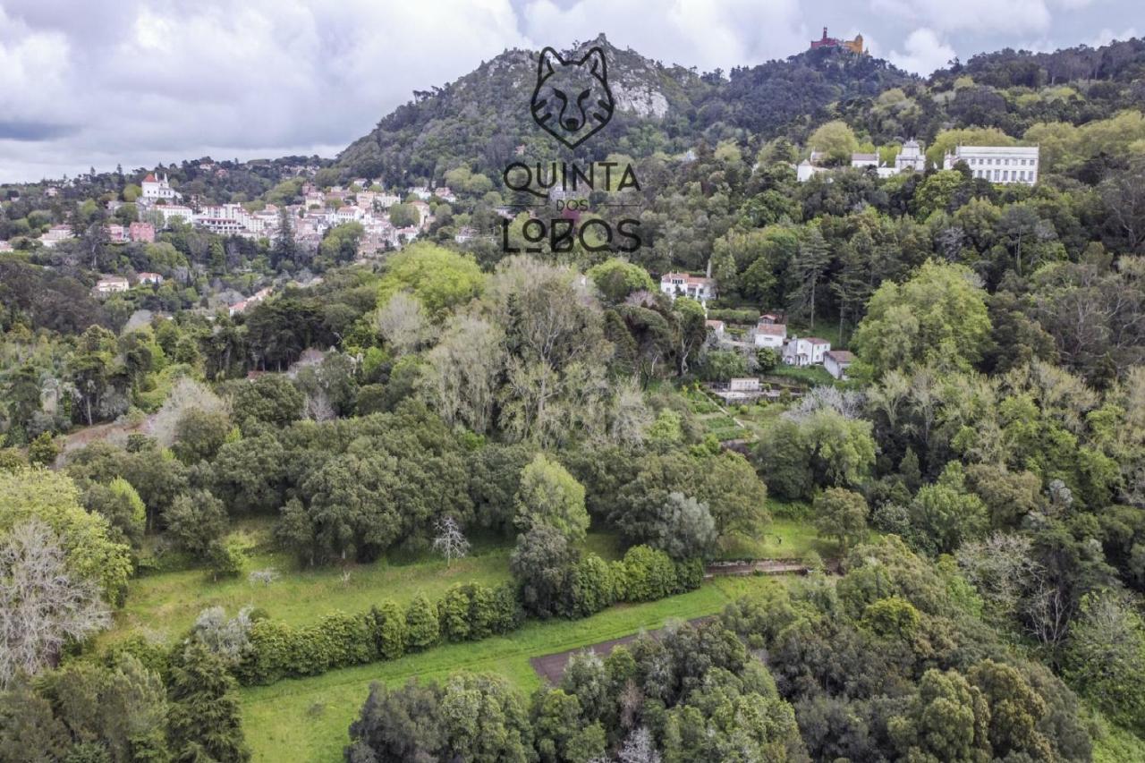 Quinta Dos Lobos Boutique Hotel - Nature Experience Sintra Dış mekan fotoğraf