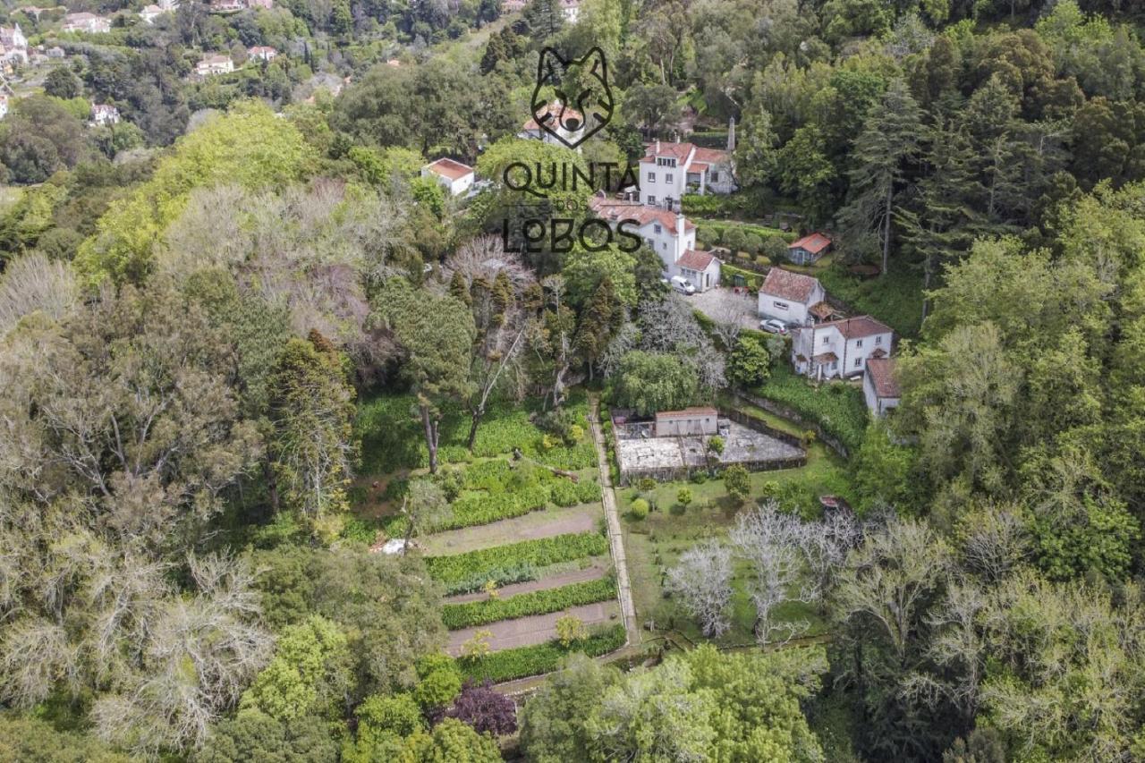 Quinta Dos Lobos Boutique Hotel - Nature Experience Sintra Dış mekan fotoğraf