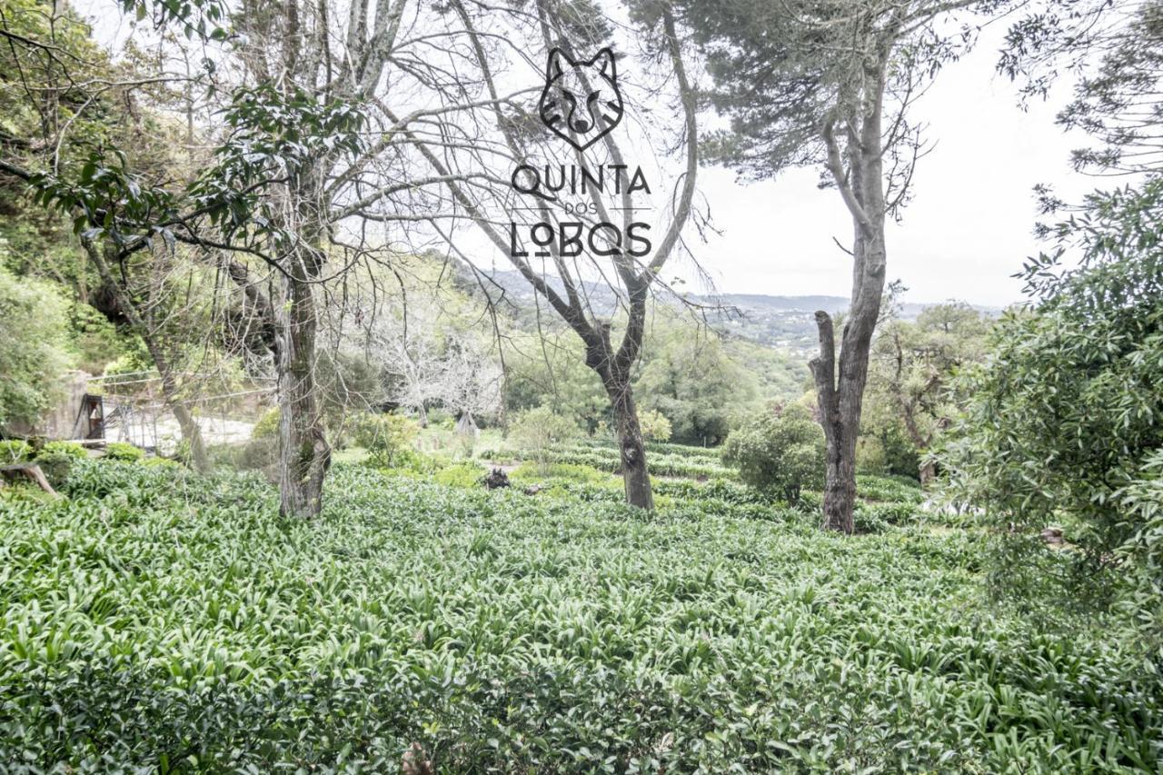Quinta Dos Lobos Boutique Hotel - Nature Experience Sintra Dış mekan fotoğraf